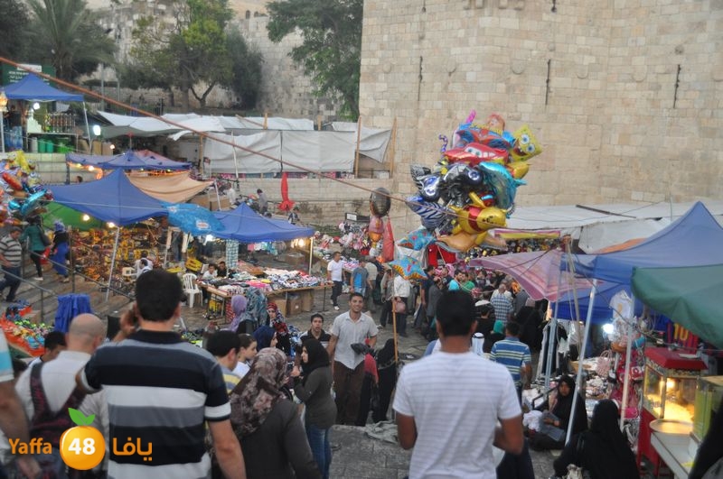 lud trawer7 aqsa 805 (35).JPG